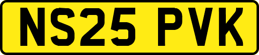 NS25PVK