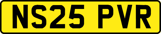 NS25PVR