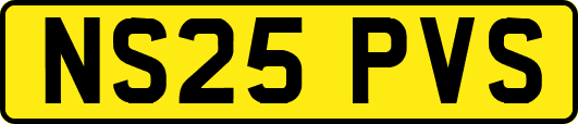NS25PVS
