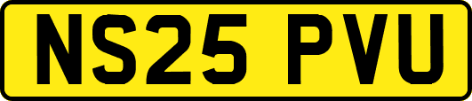 NS25PVU