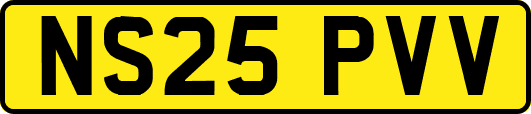 NS25PVV