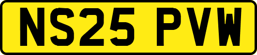 NS25PVW