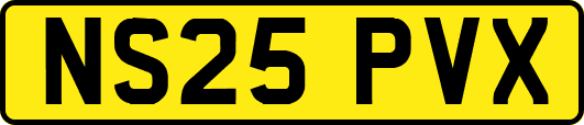 NS25PVX