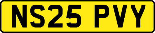 NS25PVY