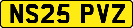 NS25PVZ