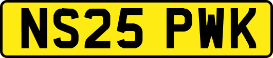 NS25PWK