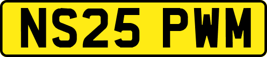 NS25PWM