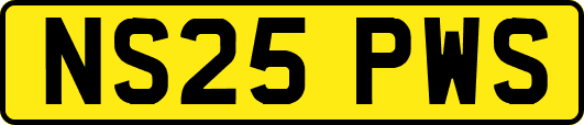 NS25PWS