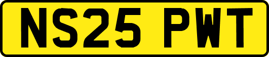 NS25PWT