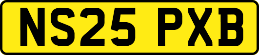 NS25PXB