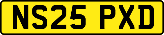 NS25PXD