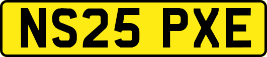 NS25PXE