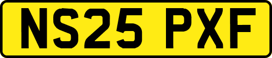NS25PXF