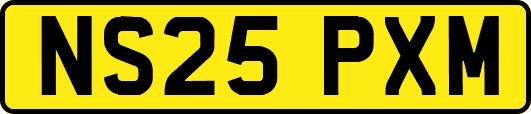 NS25PXM