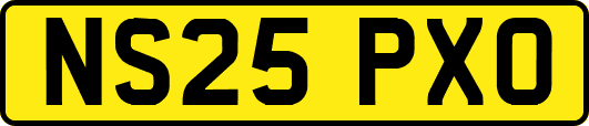 NS25PXO