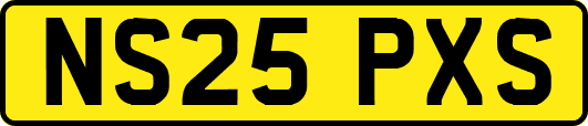 NS25PXS