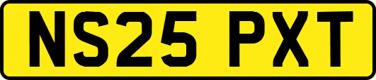 NS25PXT