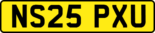 NS25PXU
