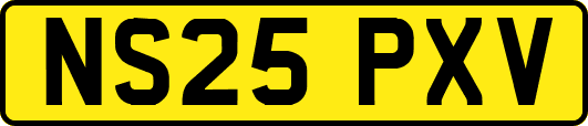 NS25PXV