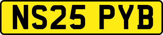 NS25PYB