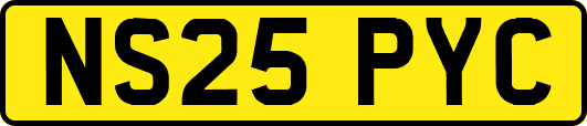NS25PYC