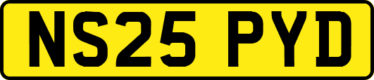 NS25PYD
