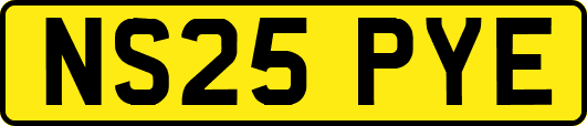 NS25PYE