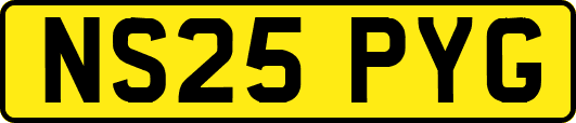 NS25PYG