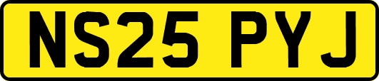 NS25PYJ