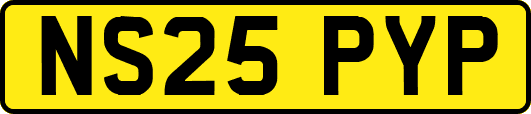 NS25PYP
