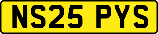 NS25PYS
