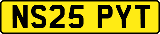 NS25PYT