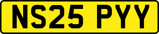 NS25PYY