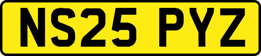 NS25PYZ