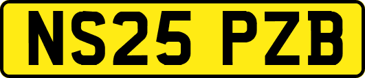 NS25PZB
