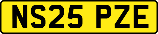 NS25PZE
