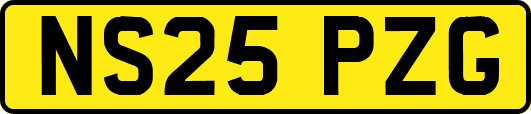 NS25PZG