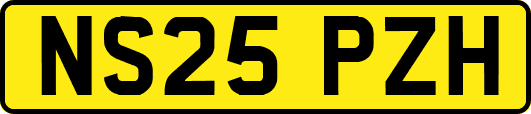 NS25PZH