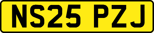 NS25PZJ
