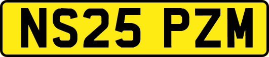 NS25PZM