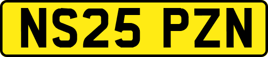 NS25PZN