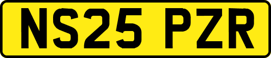 NS25PZR