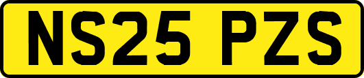 NS25PZS