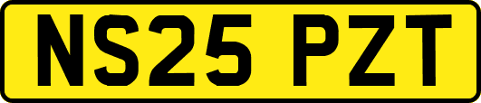 NS25PZT