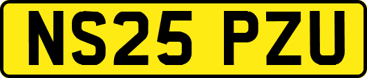 NS25PZU