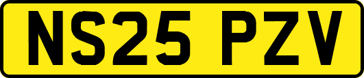 NS25PZV