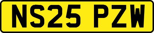 NS25PZW