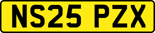 NS25PZX