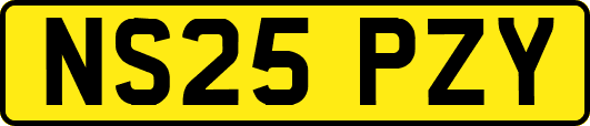 NS25PZY