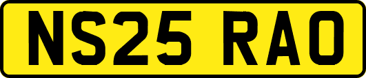 NS25RAO